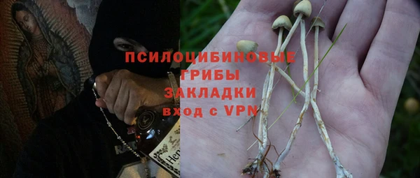 мдпв Кулебаки