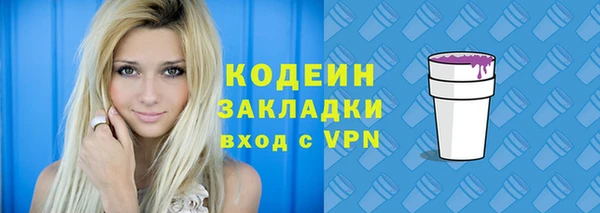 мдпв Кулебаки